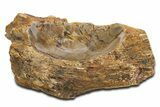 Polished Petrified Wood Soap Dish - Madagascar #346938-1